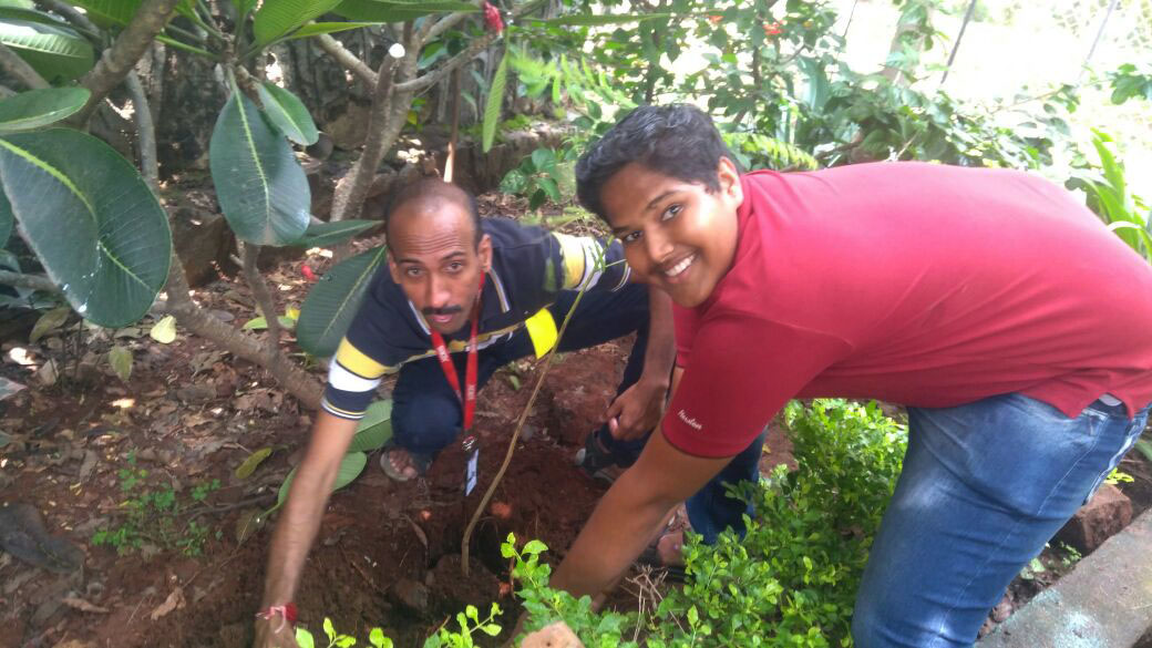 Tree Plantation Image